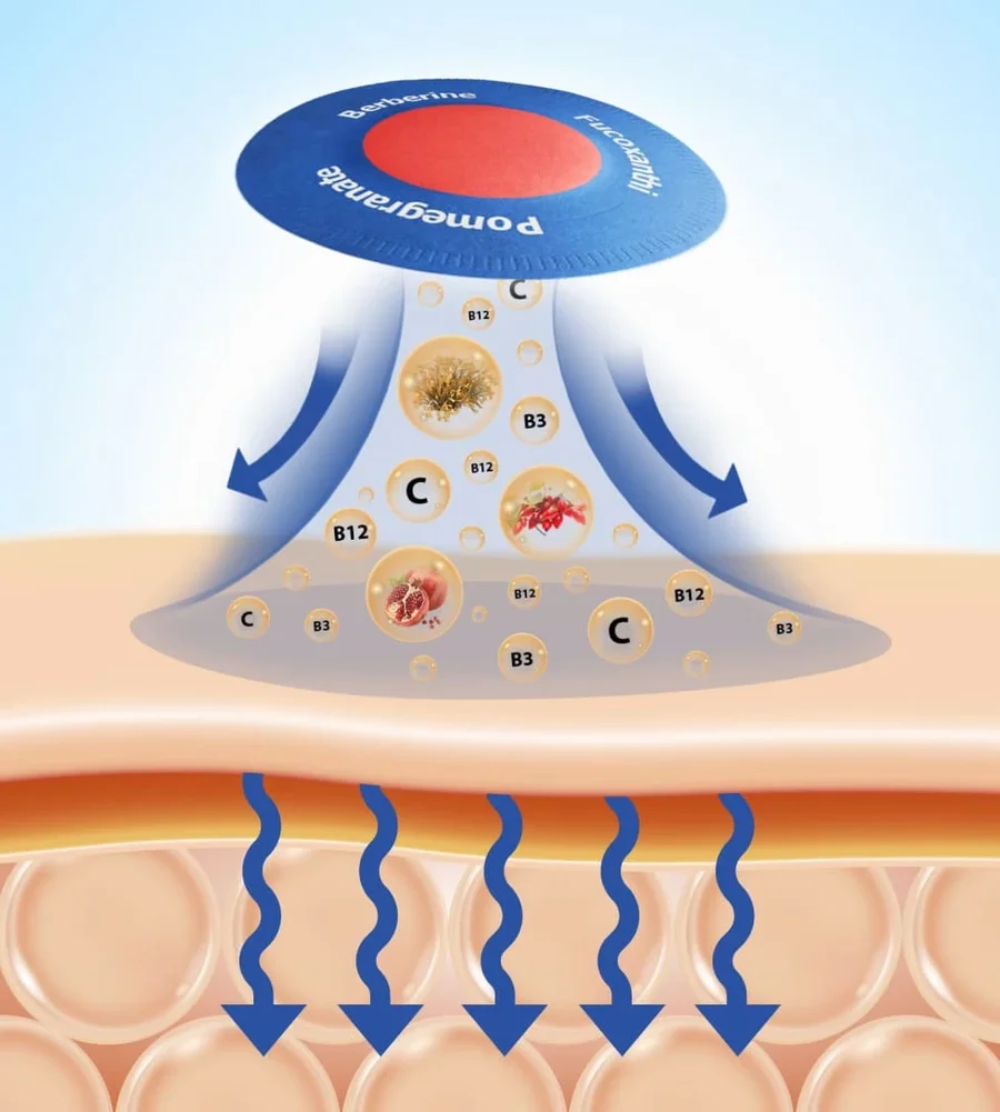 purisaki berberine patch transdermal delivery diagram showing how berberine is intended to release through skin