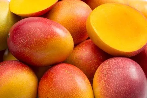 purisaki berberine patch ingredient african mango irvingia gabonensis